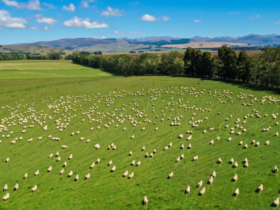 109 Affleck Road, Castle Downs