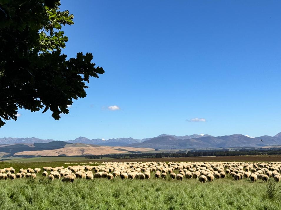 109 Affleck Road, Castle Downs