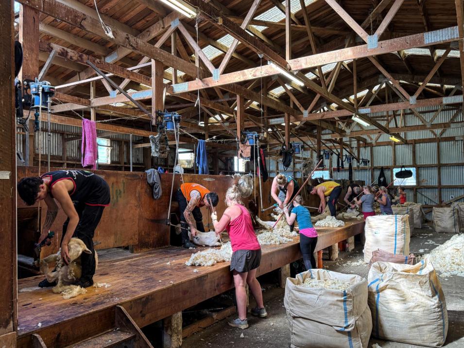 109 Affleck Road, Castle Downs