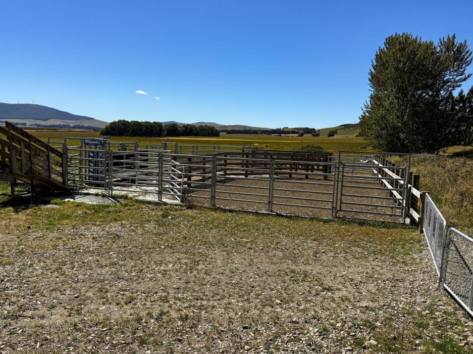 109 Affleck Road, Castle Downs