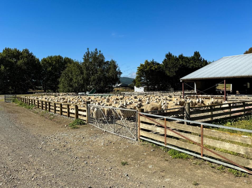 109 Affleck Road, Castle Downs