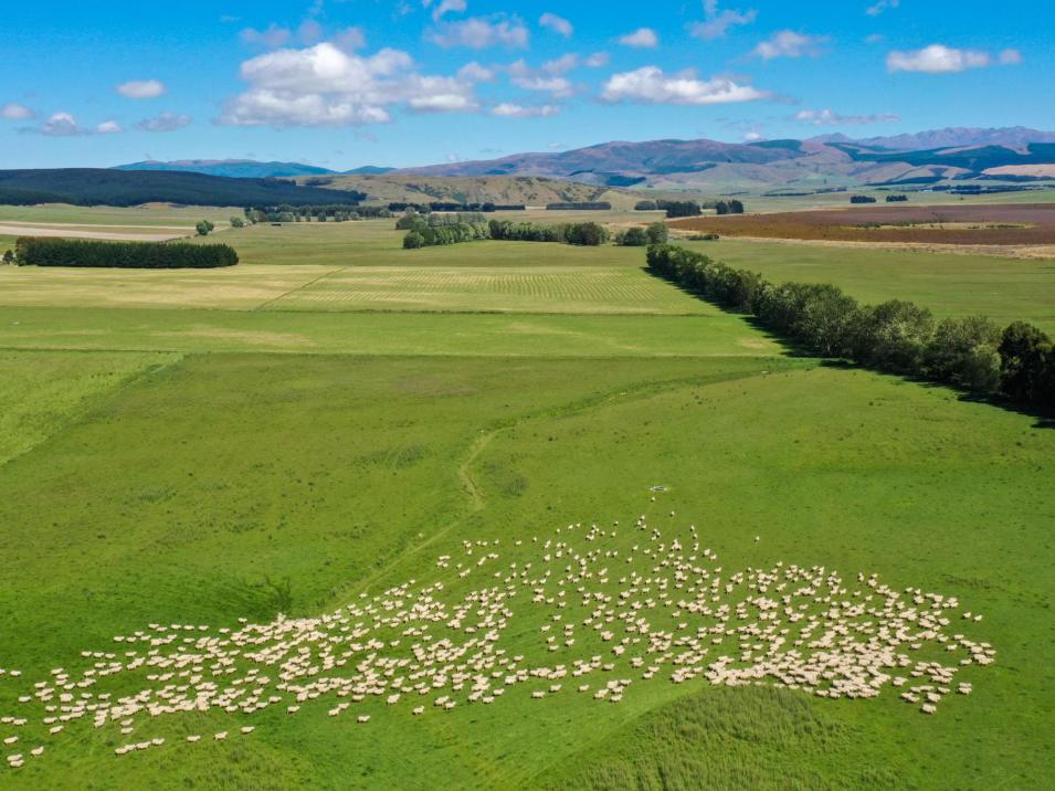 109 Affleck Road, Castle Downs