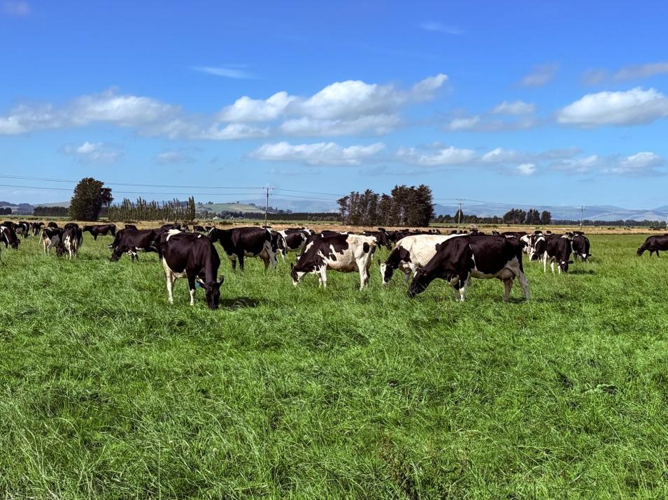 867 Hundred Line Road East, South Hillend