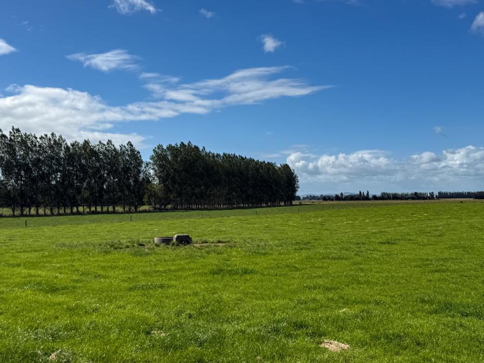 867 Hundred Line Road East, South Hillend