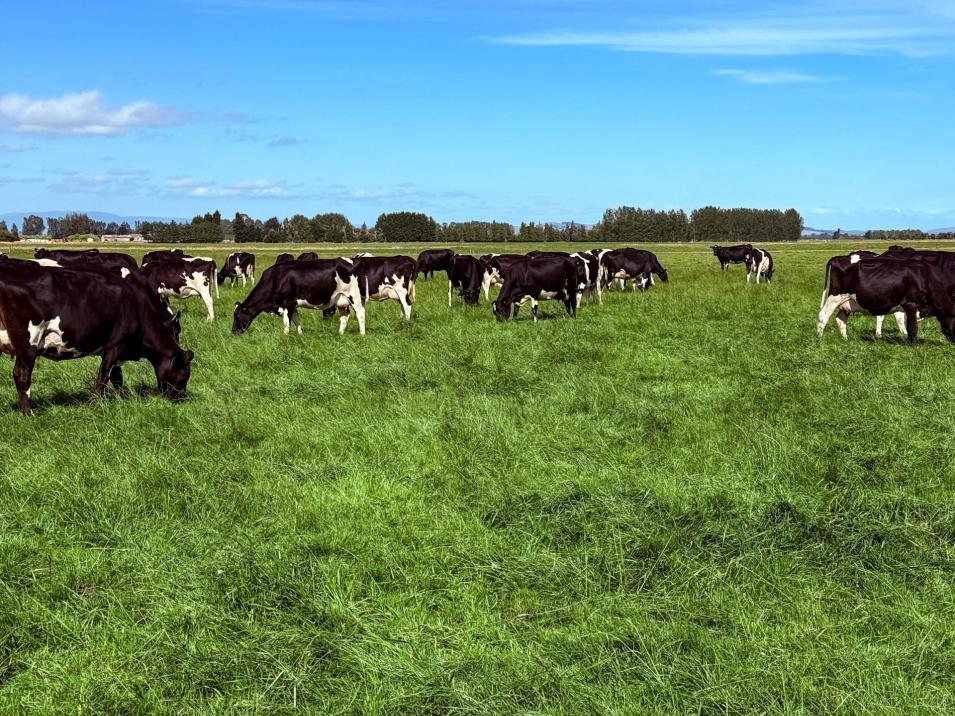 867 Hundred Line Road East, South Hillend