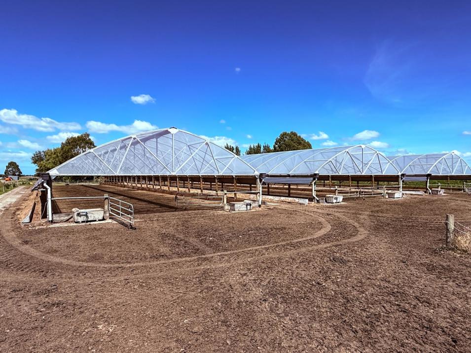 867 Hundred Line Road East, South Hillend