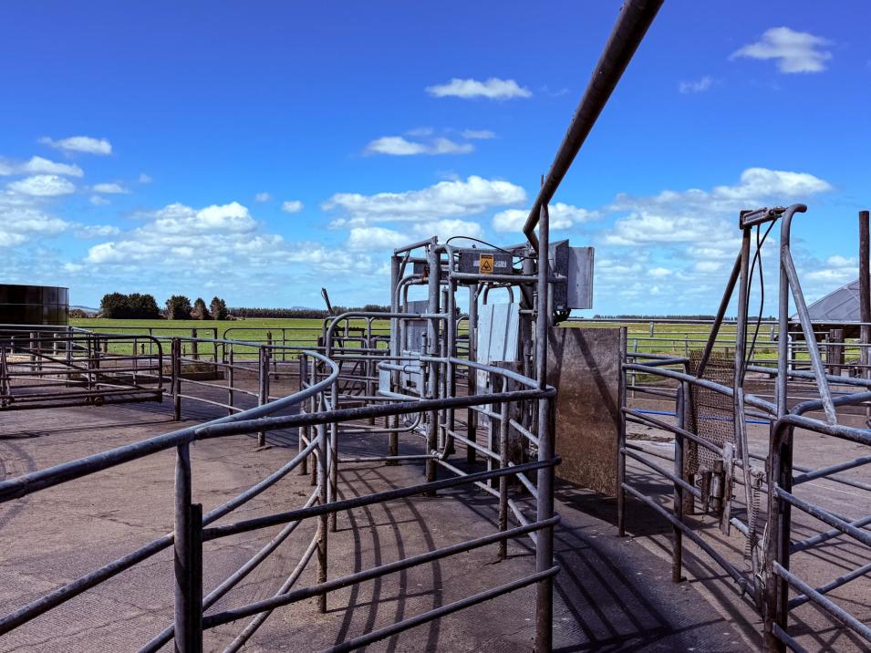 867 Hundred Line Road East, South Hillend