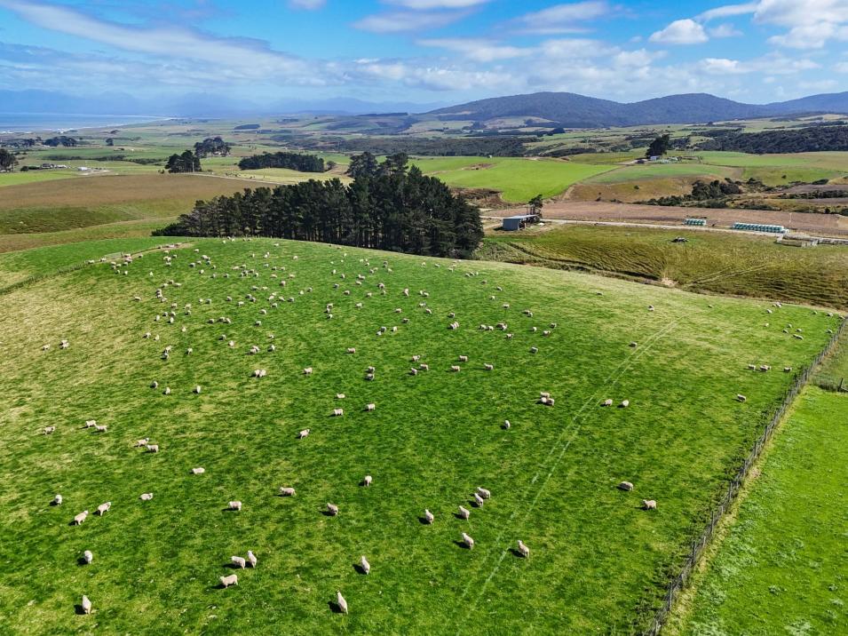 330 and 380 Falls Creek Road, Orepuki