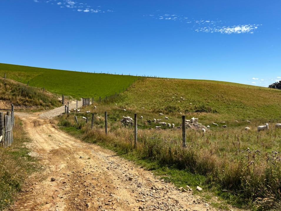 330 and 380 Falls Creek Road, Orepuki