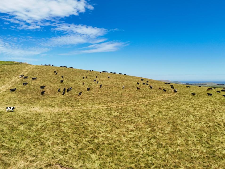 330 and 380 Falls Creek Road, Orepuki