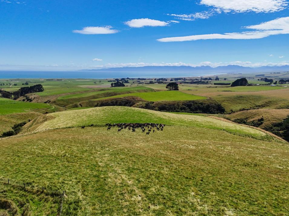 330 and 380 Falls Creek Road, Orepuki