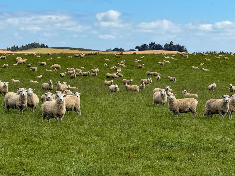 209 Quertier Road, Kaiwera