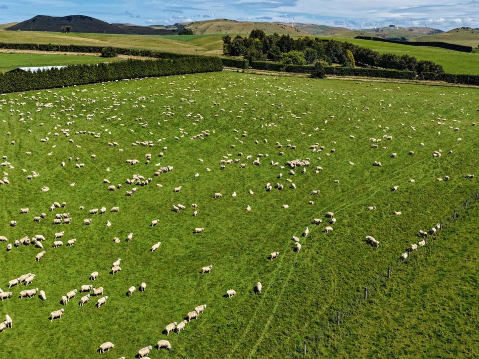 209 Quertier Road, Kaiwera