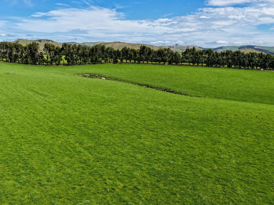 209 Quertier Road, Kaiwera