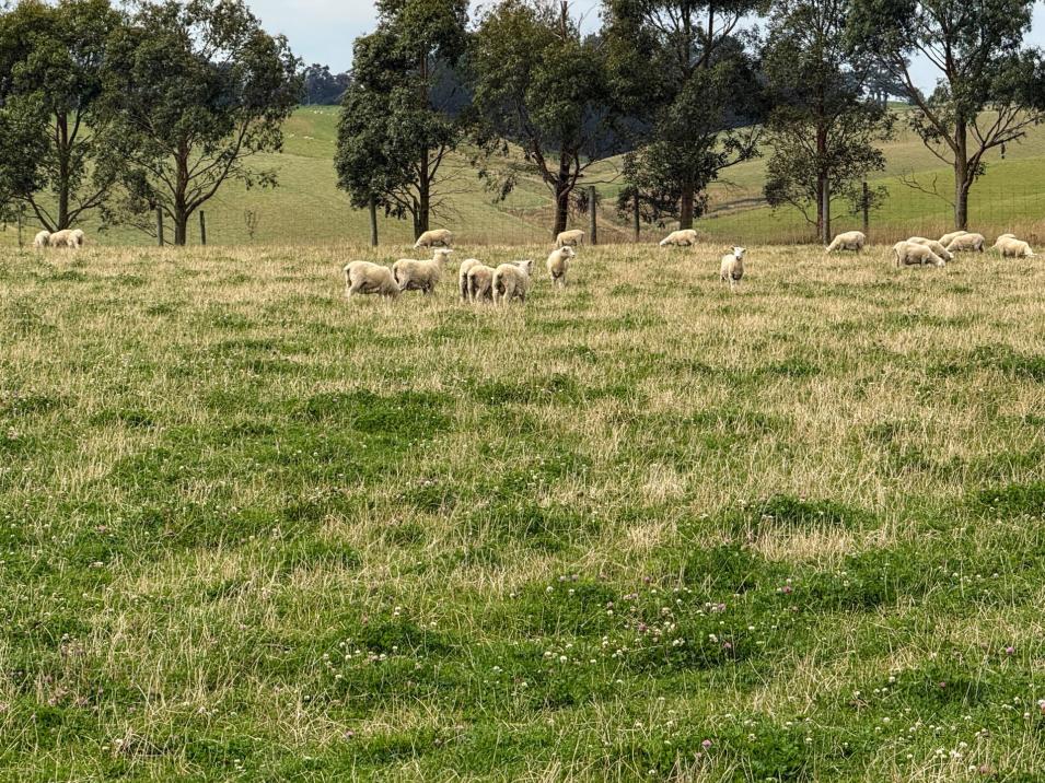 10 Four Mile Creek Road, Te Houka