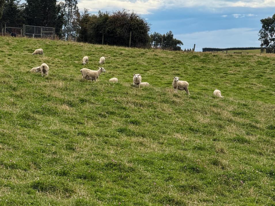 10 Four Mile Creek Road, Te Houka