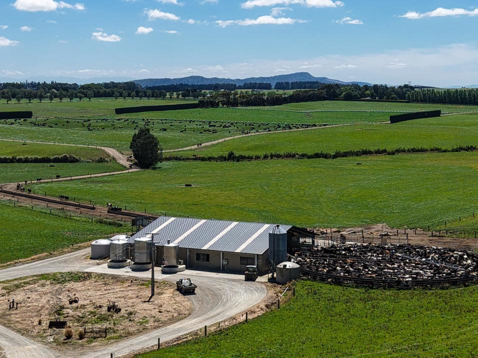 251 Rakahouka Hedgehope Road, Mabel Bush