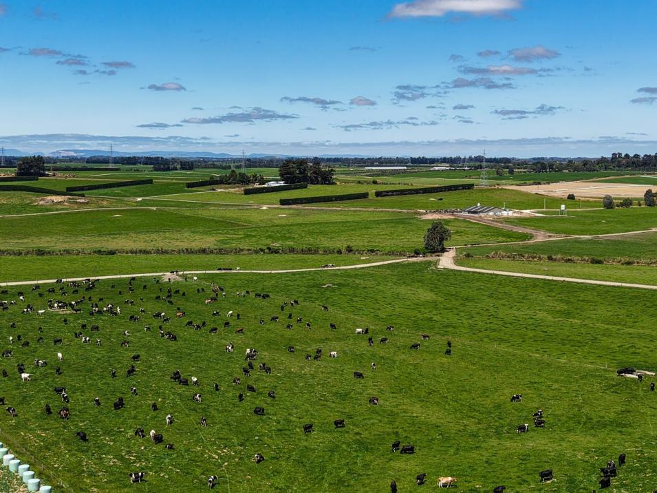 251 Rakahouka Hedgehope Road, Mabel Bush