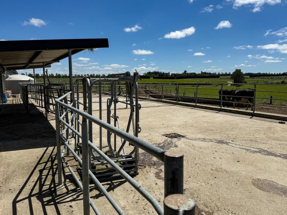 251 Rakahouka Hedgehope Road, Mabel Bush