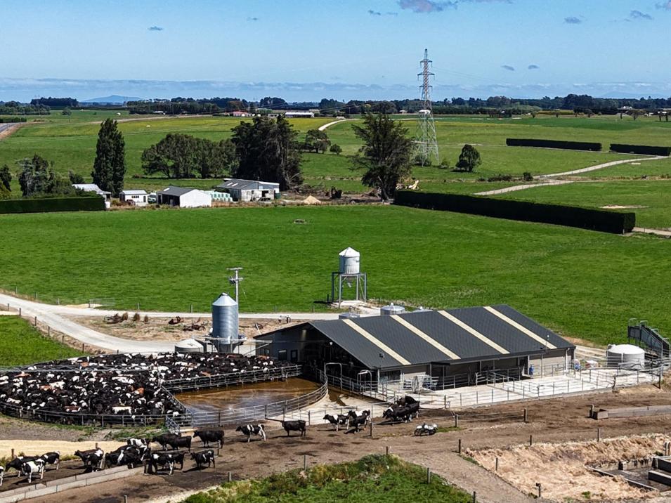 251 Rakahouka Hedgehope Road, Mabel Bush