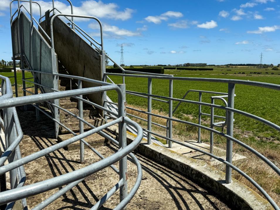 251 Rakahouka Hedgehope Road, Mabel Bush