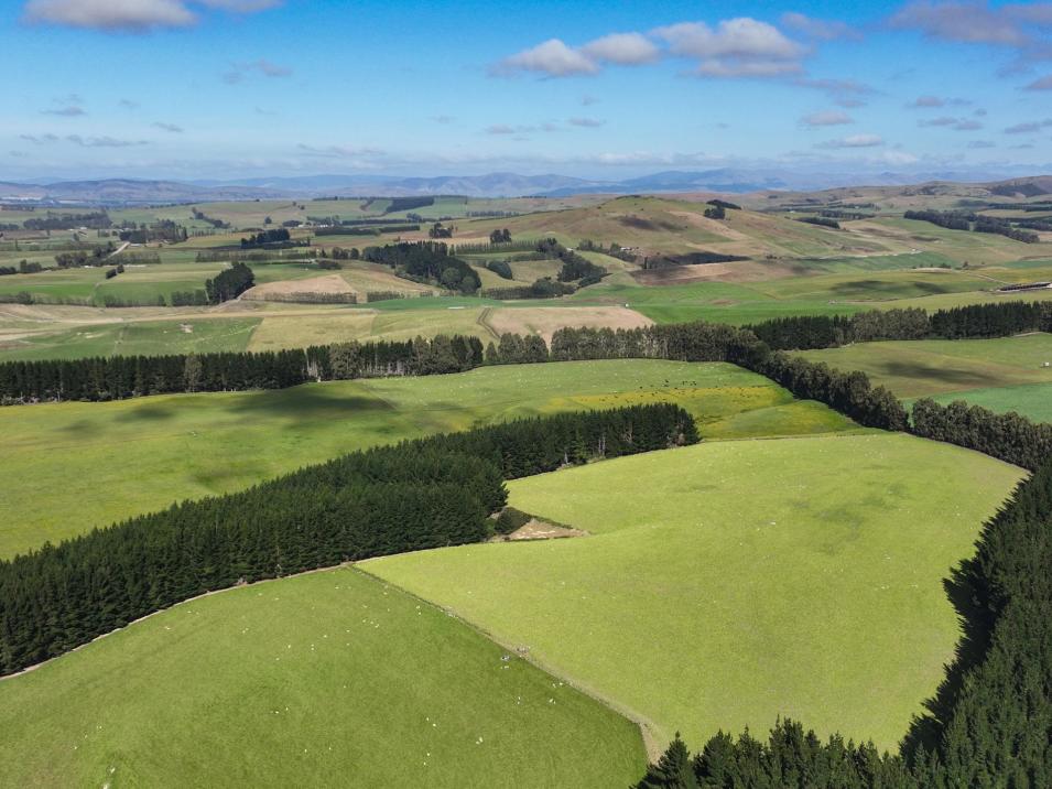 125 Tomogalak Road, Ardlussa