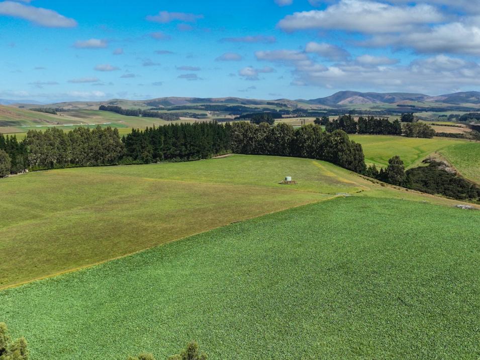 125 Tomogalak Road, Ardlussa