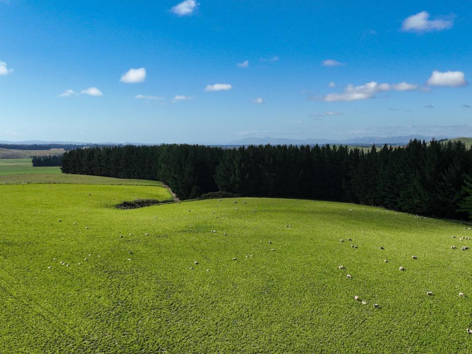 125 Tomogalak Road, Ardlussa