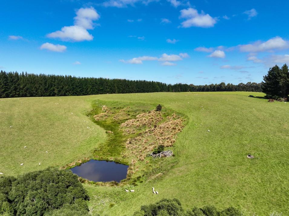 125 Tomogalak Road, Ardlussa