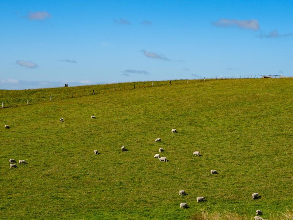 125 Tomogalak Road, Ardlussa