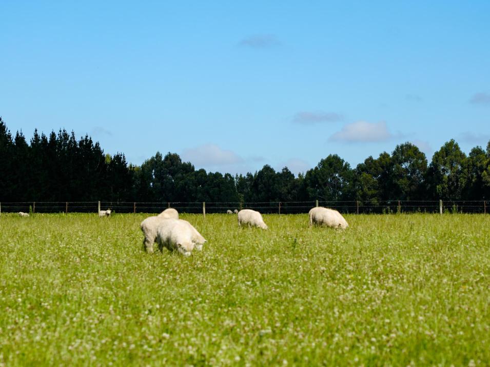 125 Tomogalak Road, Ardlussa