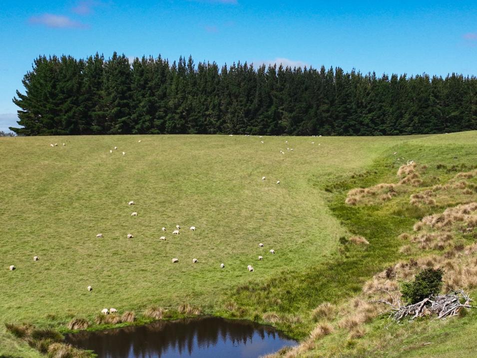 125 Tomogalak Road, Ardlussa