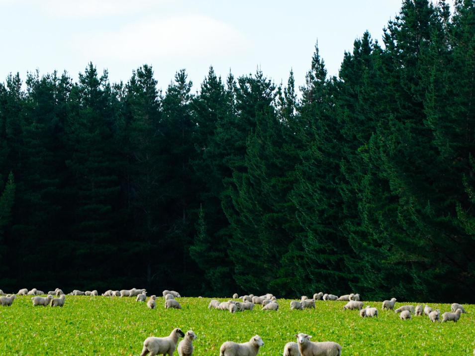 125 Tomogalak Road, Ardlussa