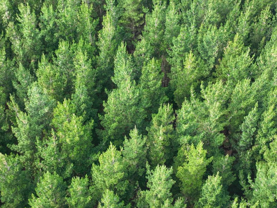 125 Tomogalak Road, Ardlussa