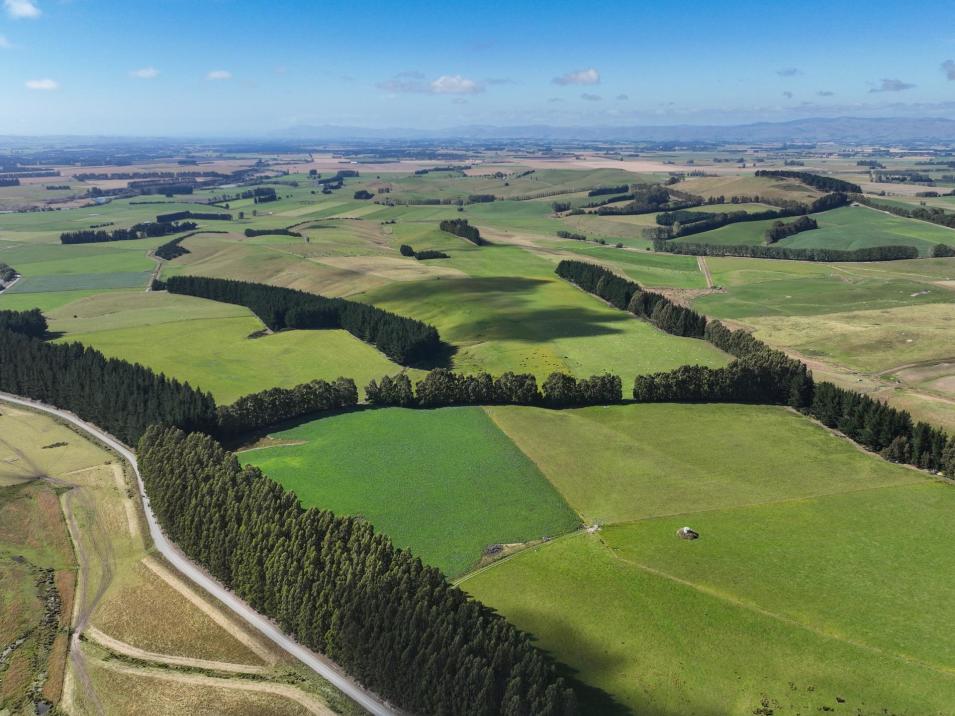 125 Tomogalak Road, Ardlussa