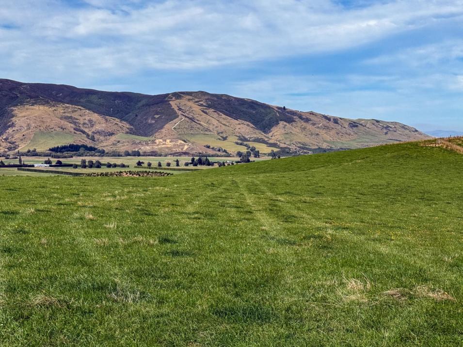 175 Stirling Road, Waikaia