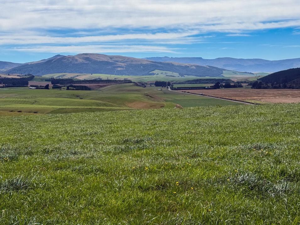 175 Stirling Road, Waikaia