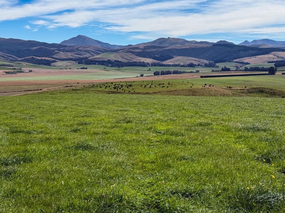 175 Stirling Road, Waikaia