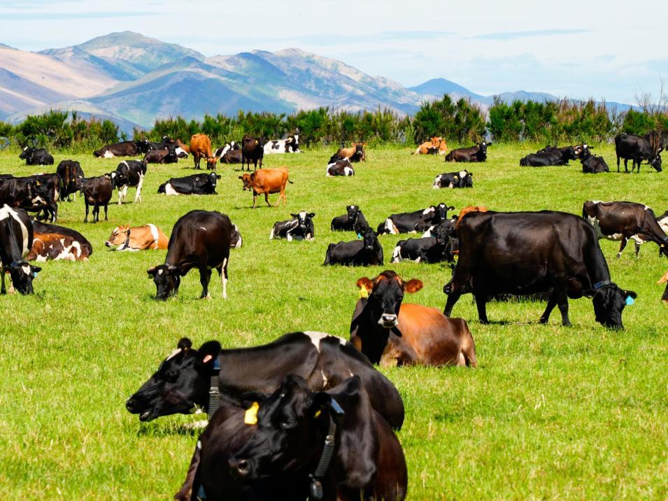 237 Otamita Road, Knapdale