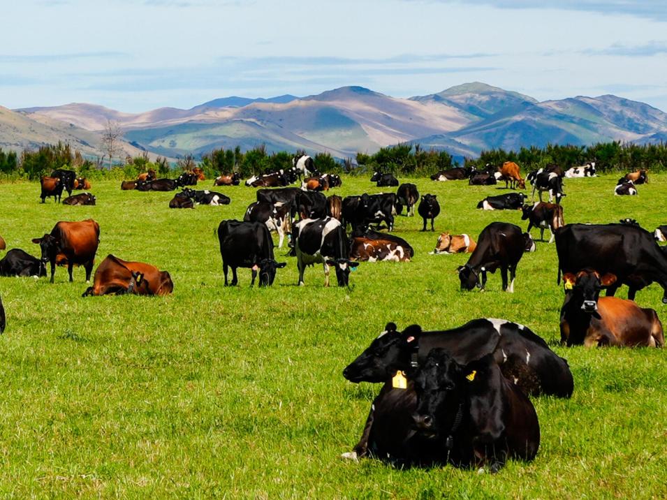 237 Otamita Road, Knapdale