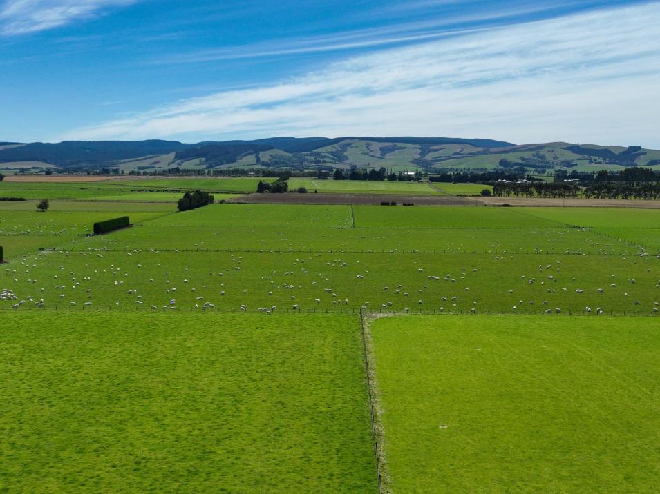 372 Looney Road, South Hillend