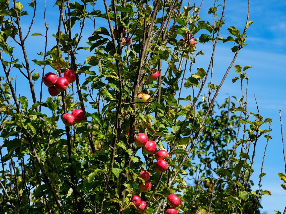 372 Looney Road, South Hillend