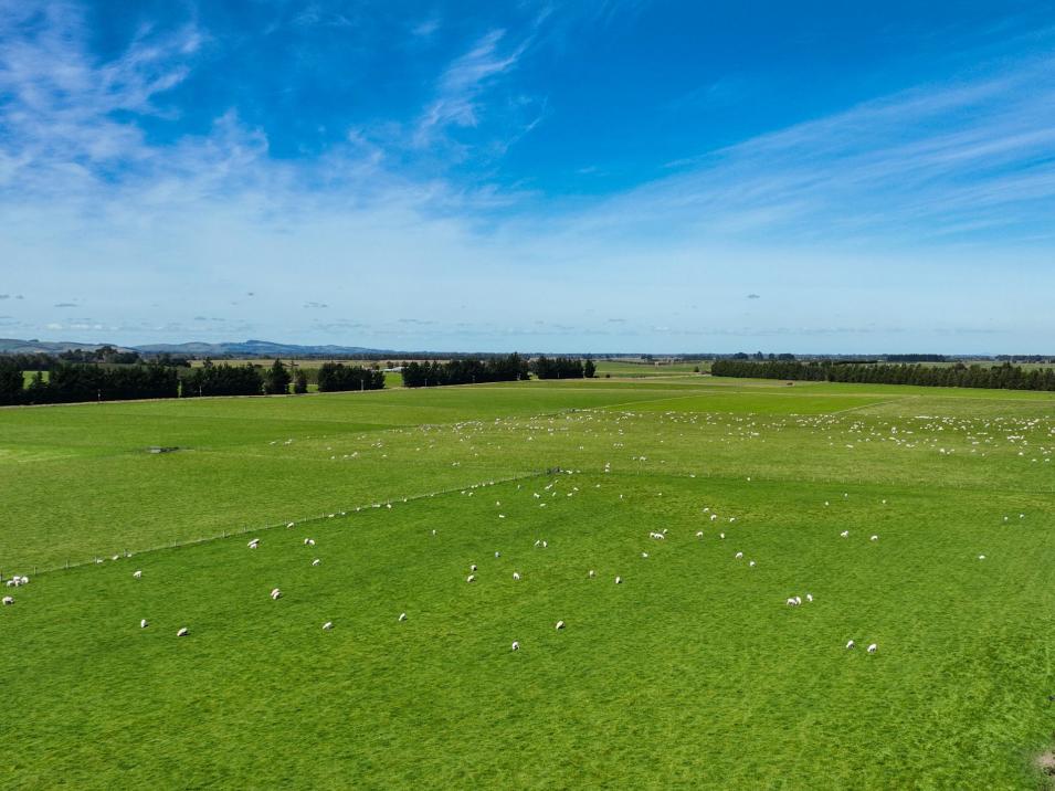 372 Looney Road, South Hillend