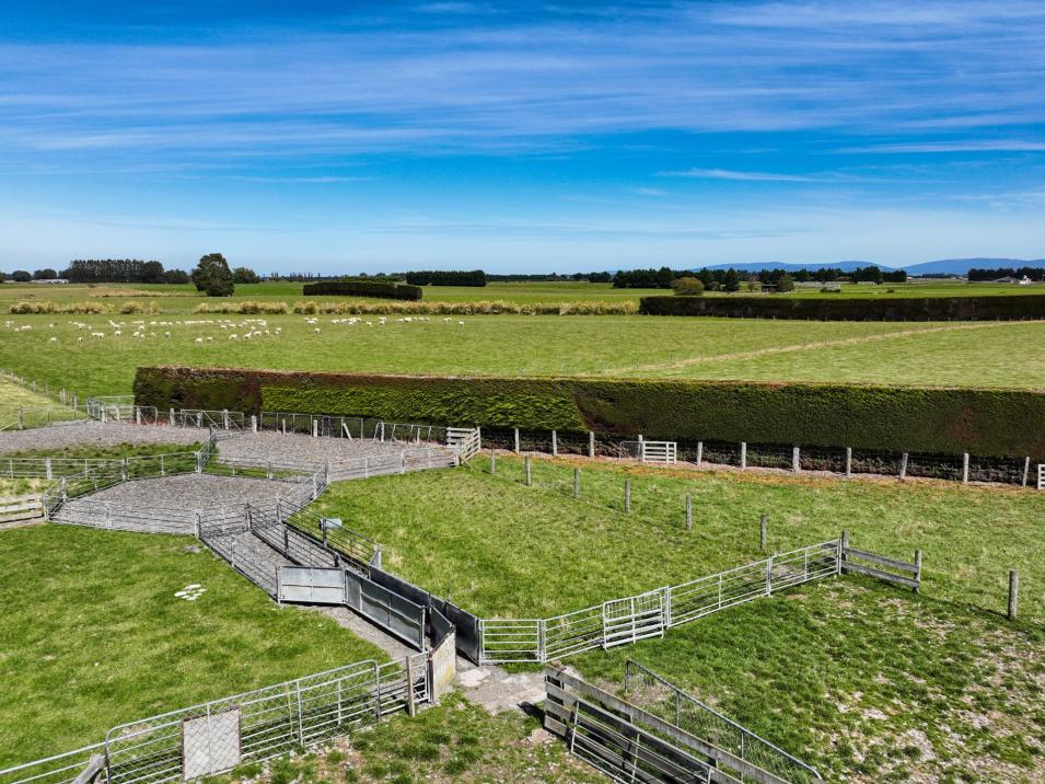 372 Looney Road, South Hillend