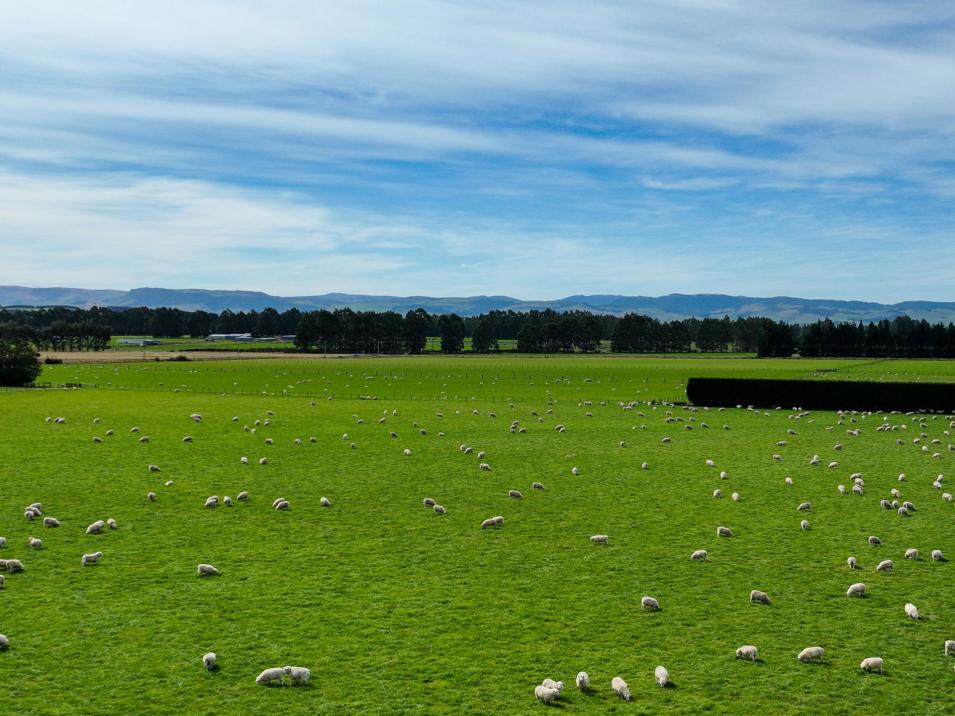 372 Looney Road, South Hillend