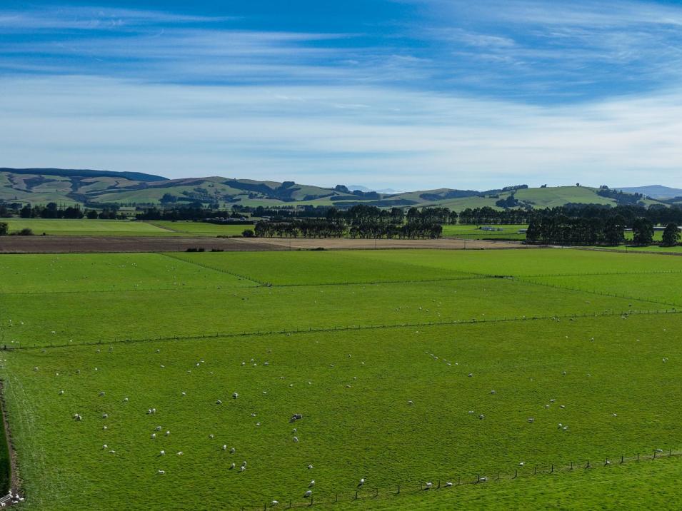 372 Looney Road, South Hillend