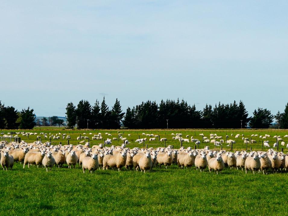 372 Looney Road, South Hillend