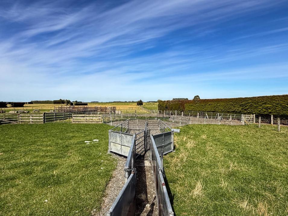 372 Looney Road, South Hillend