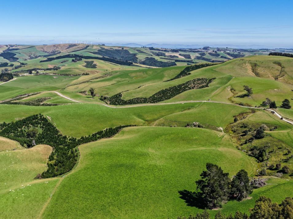 759 Waitahuna Gully Road, Lawrence 