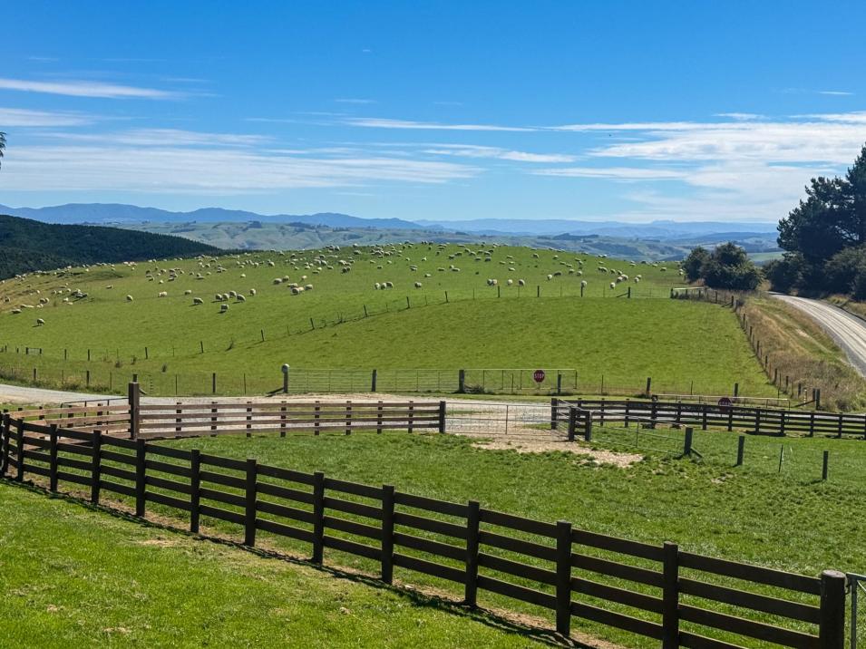 759 Waitahuna Gully Road, Lawrence 